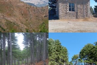 Περίπατος στο Ταΰγετο στις 5 Οκτωβρίου