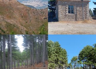 Περίπατος στο Ταΰγετο στις 5 Οκτωβρίου