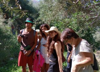 <strong>Solar cinema @taygetos η Νοσταλγός στον λαδα</strong>